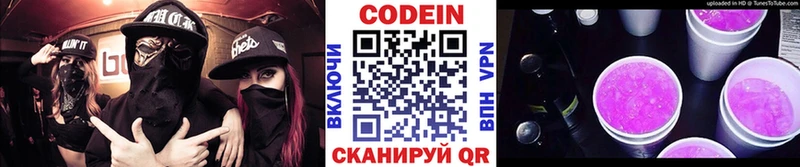 Codein напиток Lean (лин)  купить наркоту  omg маркетплейс  Емва 