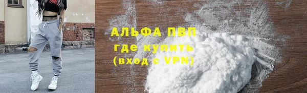 амф Гусиноозёрск