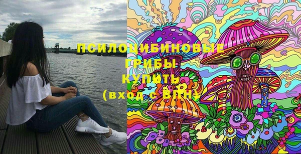 мяу мяу мука Вяземский