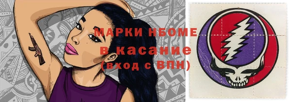 амф Гусиноозёрск