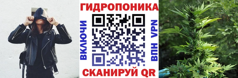 Бошки Шишки AK-47 где найти Емва